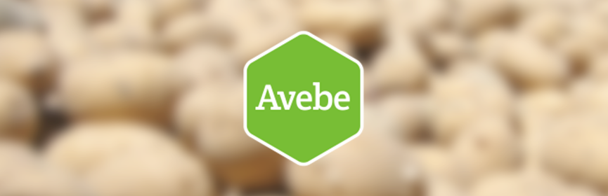 avebe-banner